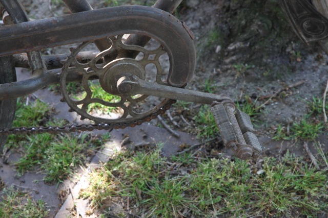 IMG_0226.jpeg