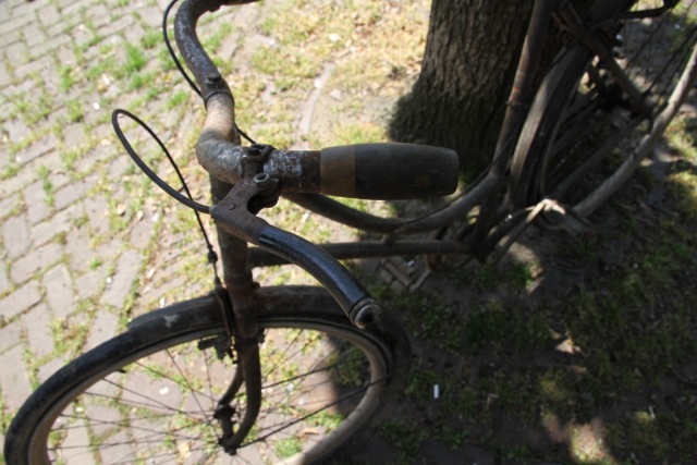 IMG_0222.jpeg