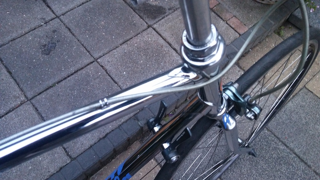 atala 2.jpg