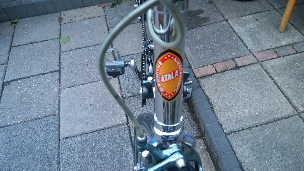 atala 1.jpg