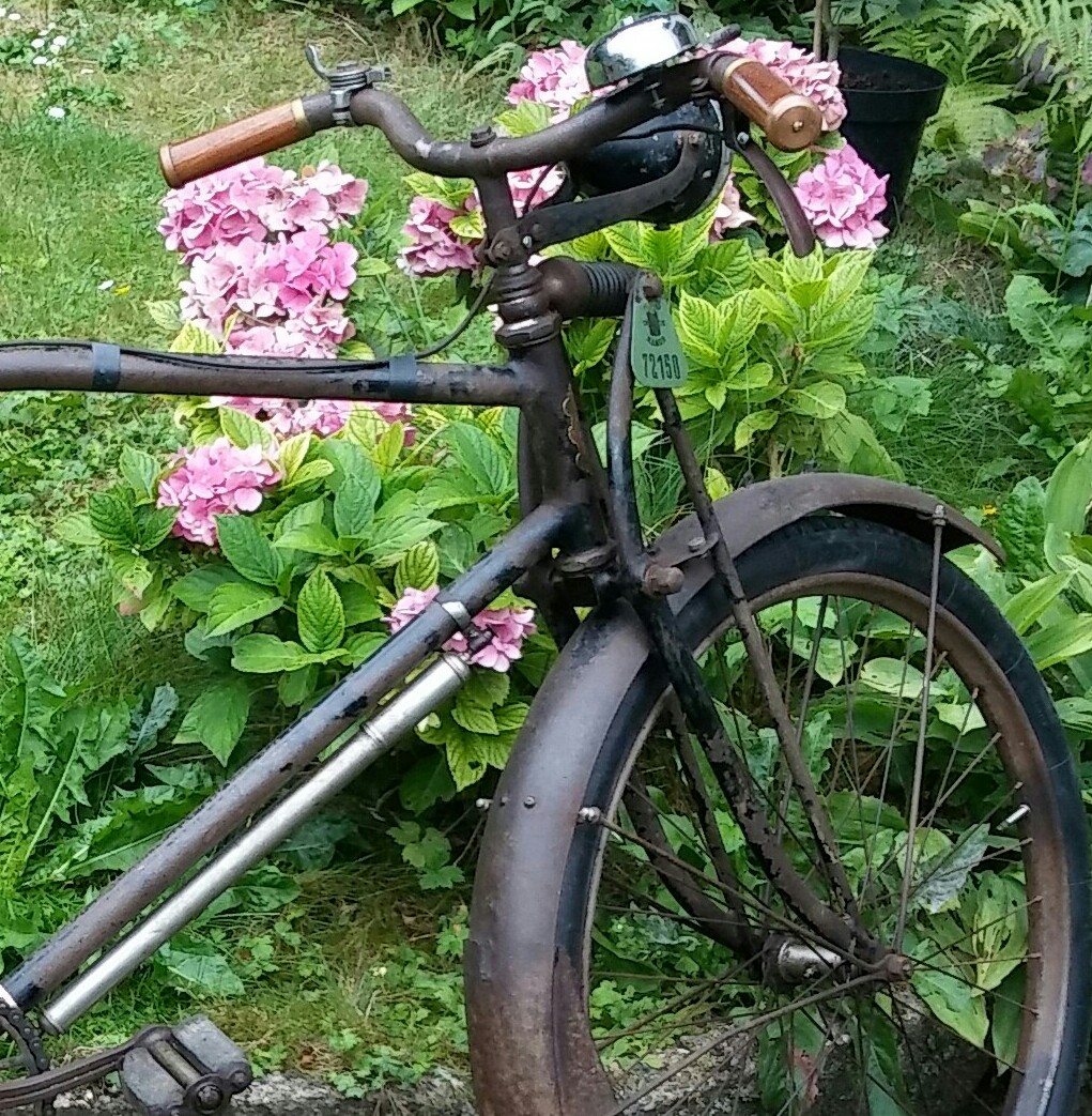 20170802_144018-1-1.jpg