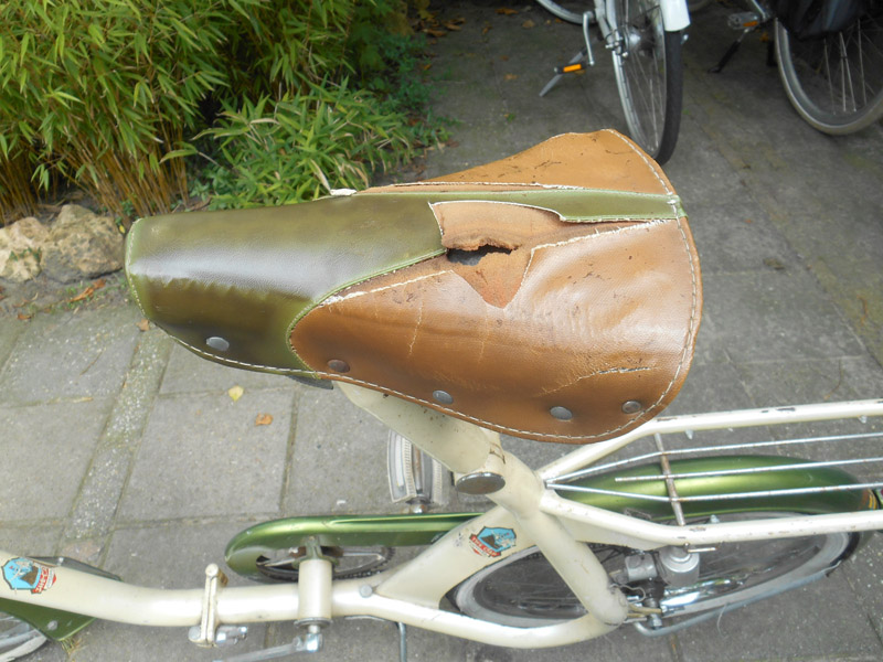 DSCN1576s.jpg