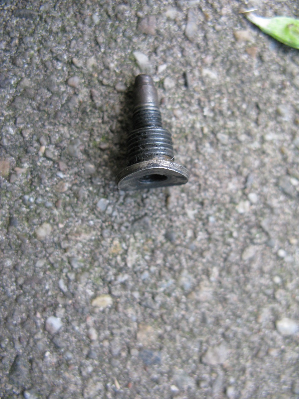 IMG_4240.jpeg