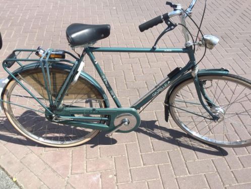 Gazelle Solide.jpg