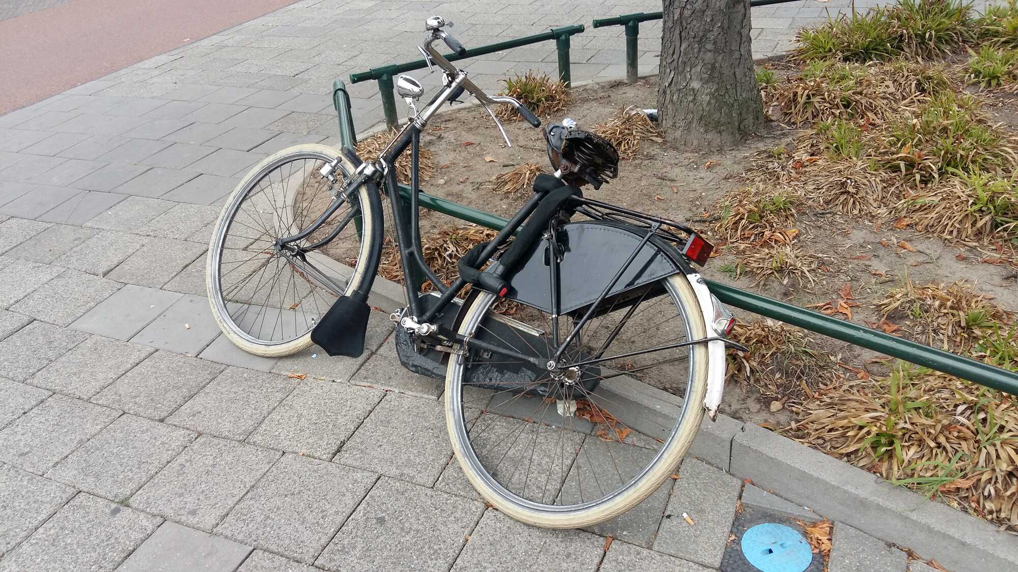 20170904_114339[1].jpg
