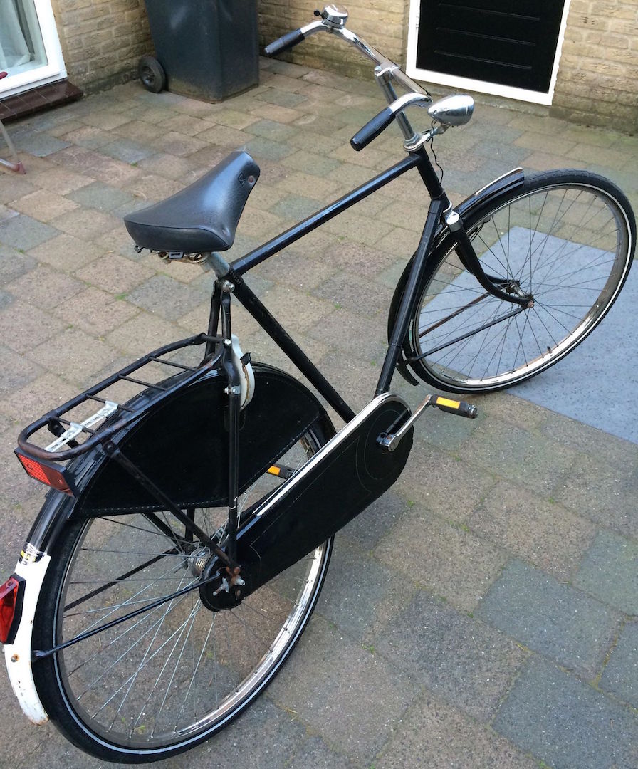 gazelle.jpg