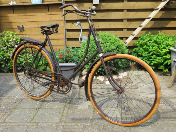 Gazelle_62577.jpg