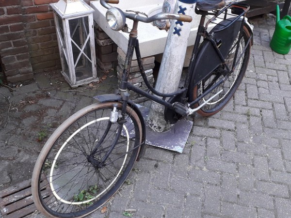 Nederlandse leeuw 7.jpg