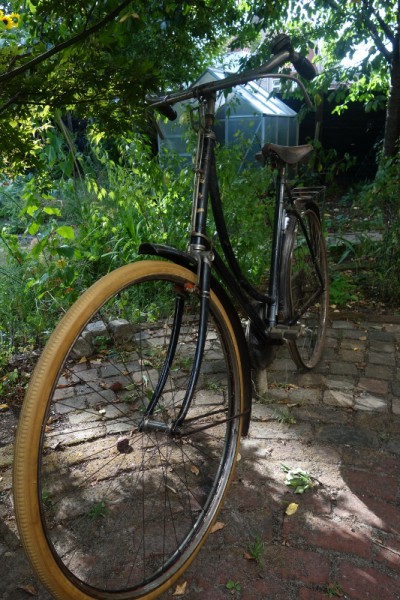 043 (533x800).jpg
