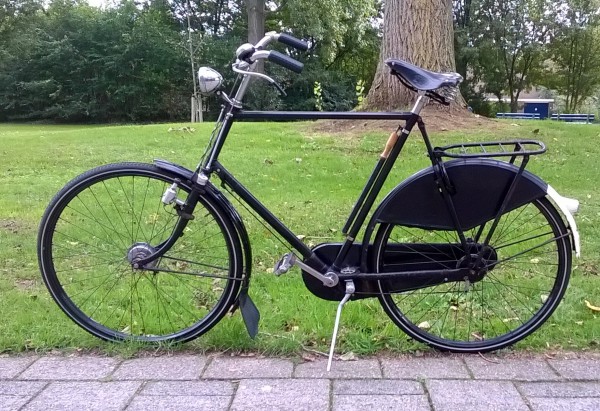 Gazelle 10.jpg