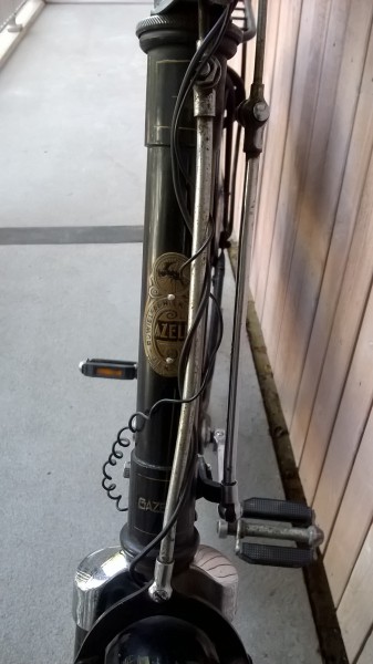 Gazelle 12.jpg