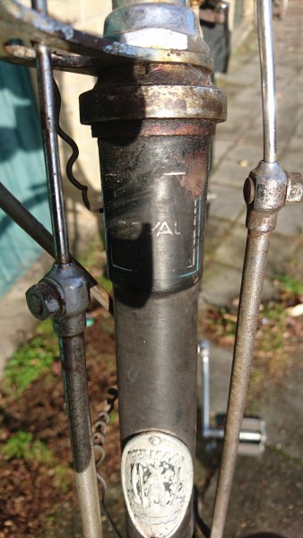 DSC_1333.JPG