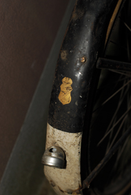 CHW_6704.jpg
