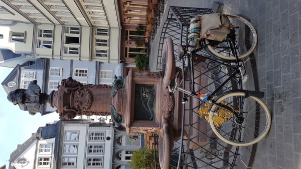 20190526_085115.jpg