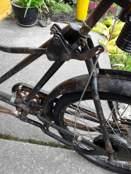 20190613_110142-1548x2064.jpg