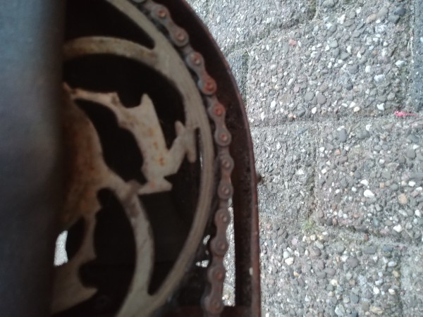 20190722_214734.jpg