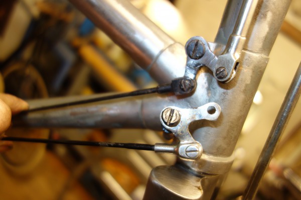 DSC05010.JPG (162.74 KiB) 7508 keer bekeken Vroege en latere gaffel