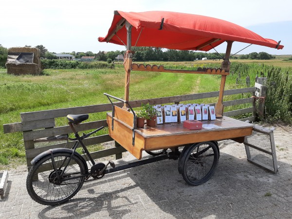 Bakfiets foto