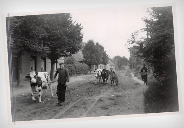 Oud wrs. Brabants dorpsbeeld, transportfiets in actie, zoekplaatje.nl - 3009.jpg