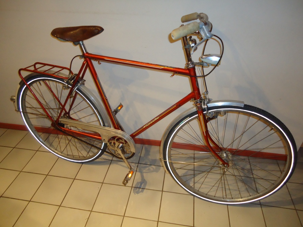 Gazelle_sport_E_2079386.JPG