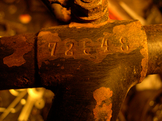 DSCN9533.JPG