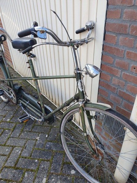 d66bf4fc-1d0c-4377-bc3a-87f86cf2868f.jpg