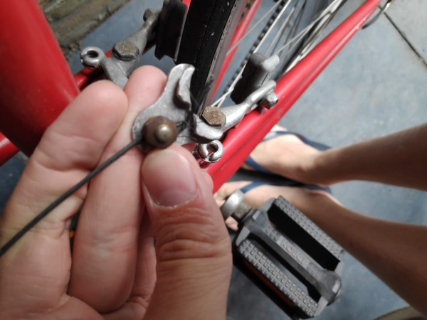 IMG_20200606_155709[1].jpg