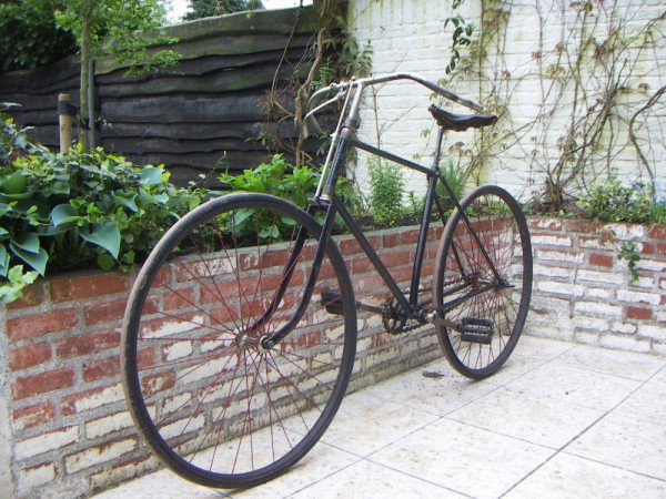 Bayliss 12.JPG