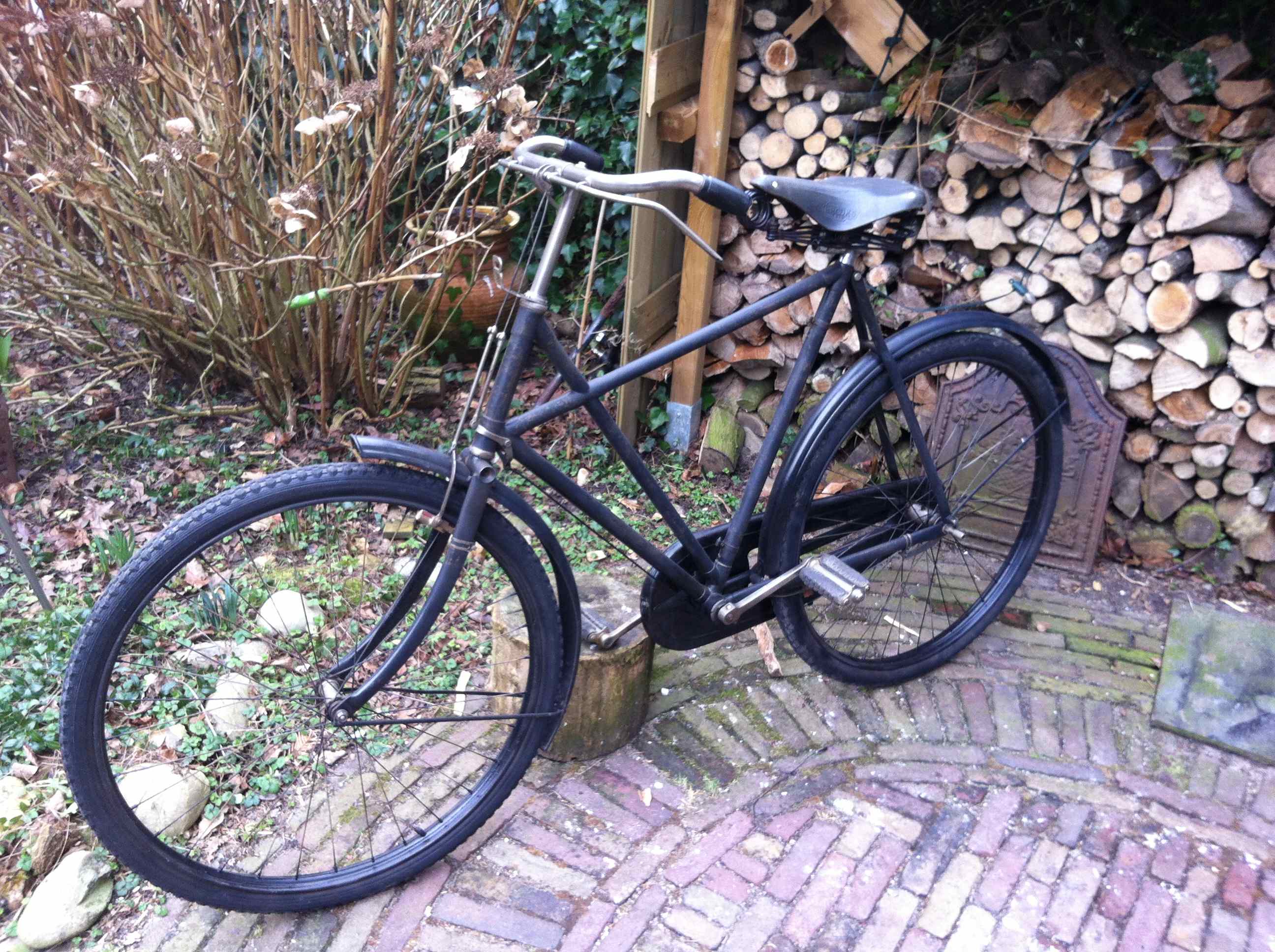 Raleigh zijaanzicht links.jpg