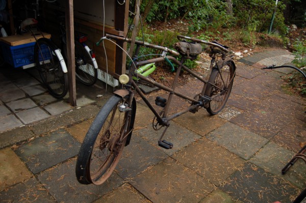 DSC_8261.JPG