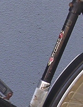 Gazelle Kwikstep detail.JPG