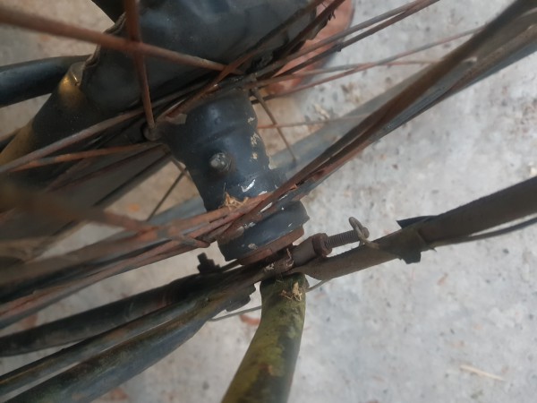 20201004_185919.jpg