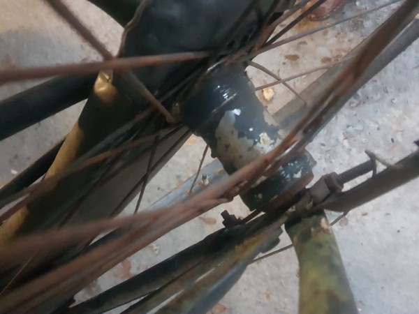 20201004_190420.jpg
