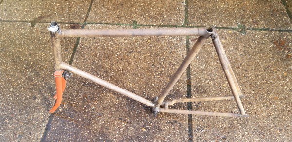 20201007_131417.jpg