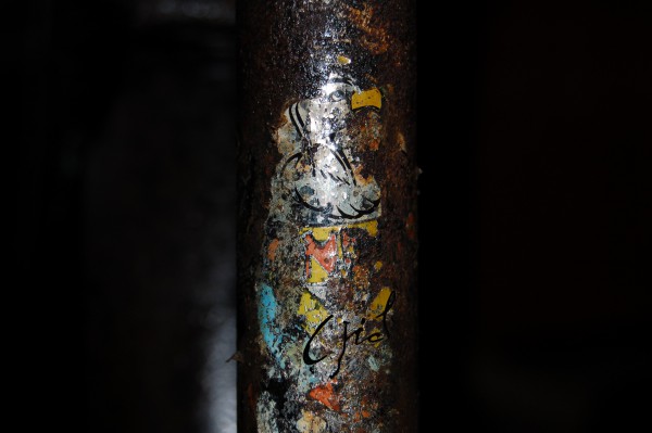 DSC_8515.JPG