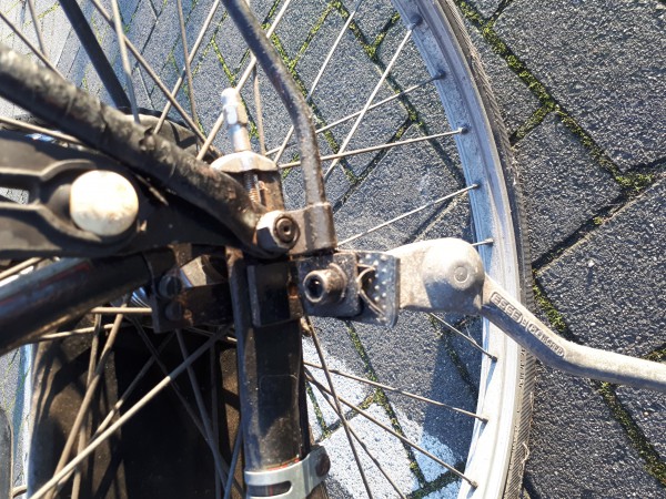 20201210_150449.jpg