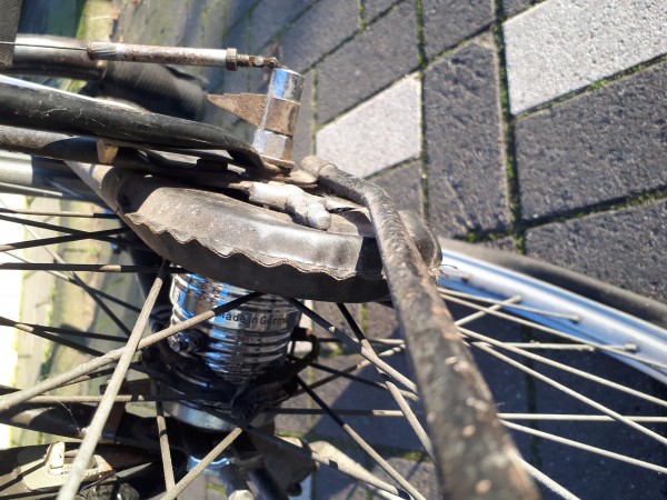 20201210_150028.jpg