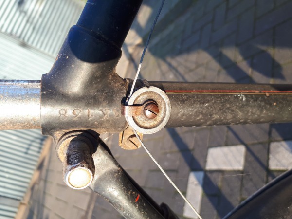 20201210_150105.jpg