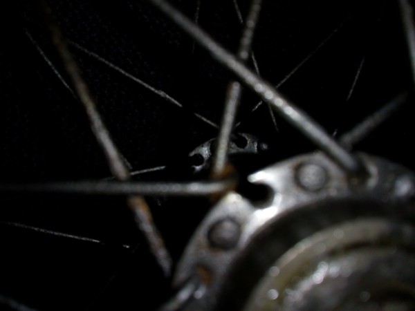 IMG_20201214_174924.jpg