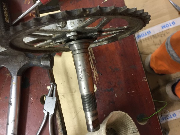 93B12085-A9DF-44AE-A5A6-C5371B02114D.jpeg