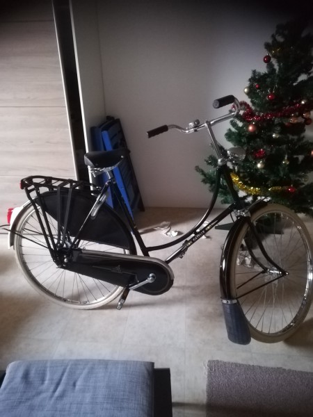 gepoest 2