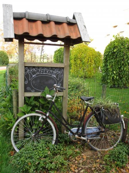 Simplex damesfiets met uitzonderlijk patina (1).JPG