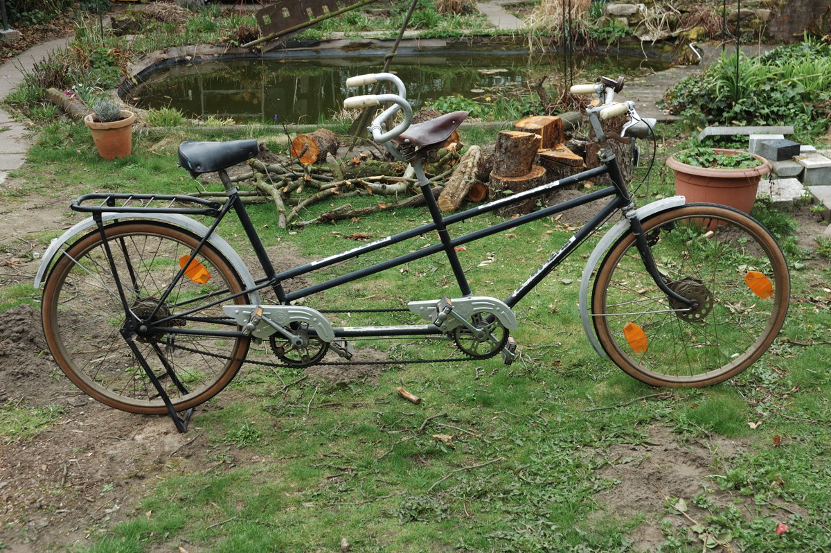 Gold_Lion_tandem.jpg