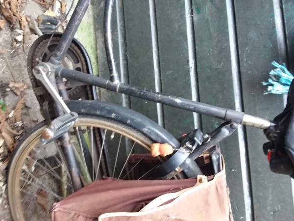20220122_134204.jpg