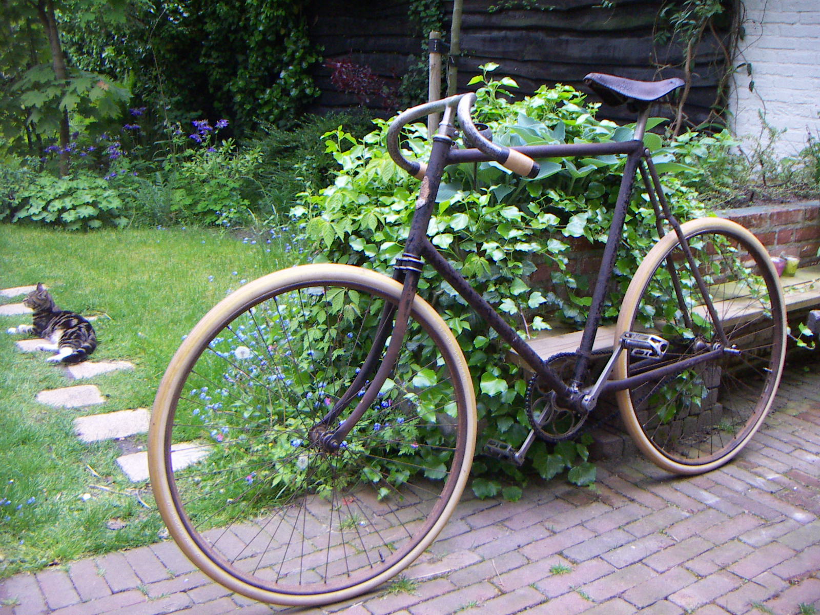 Velo Rochet