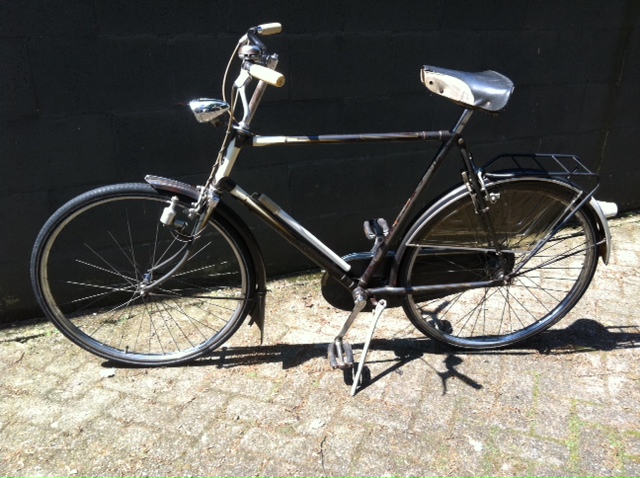 fotolr31.JPG