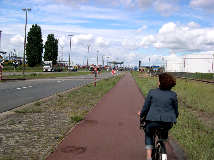 DSCN8693.jpg