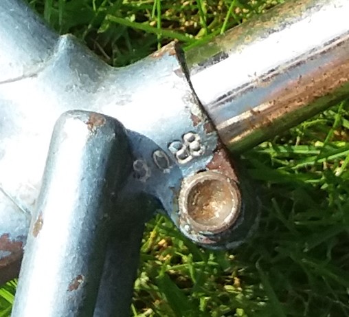 20210722_114732.jpg