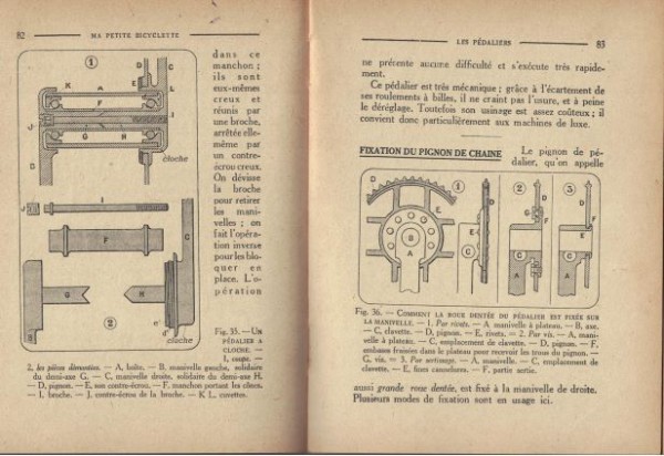 son anatomie 3 k.jpg