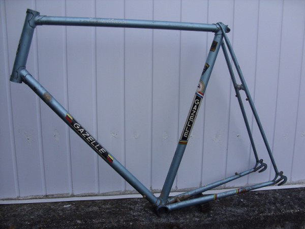 GazelleLavenir.JPG